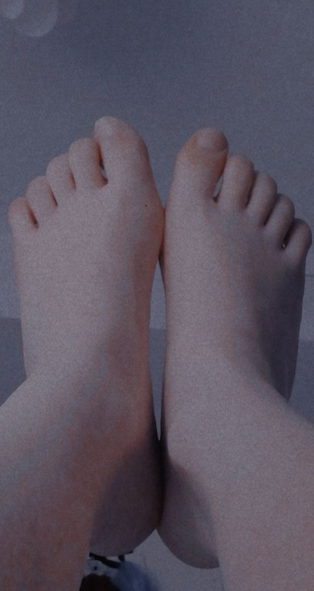 Kittysfeet 커버 사진