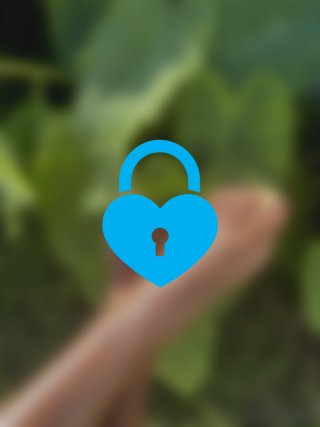 Locked content